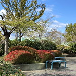 Happy Bench (Easter) Monday!