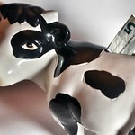 cow piggy bank