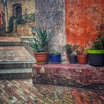 The beauty in chaos, and the disorderly.