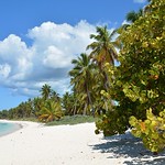 Escenas del Caribe 181 [On Explore]