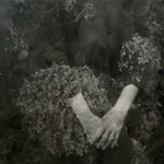 Polaroid week day three