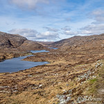 The Golden Road-Harris