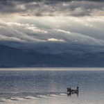 Under the troubled sky