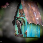 Checking on the nest 05.03.22