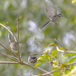 Come back mum, I'm hungry!