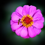 Approach for landing