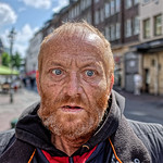 IN THE PROMISED LAND