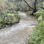Cataract Creek