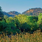 Golden Hour at Heather Farm