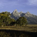 Grand Tetons Morning