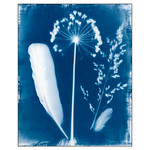 Flora and Fauna from the Garden