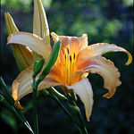 They're Long Gone...