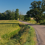 A perfect summer morning