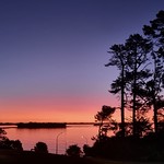 Side effects (Explored 06/08/2022)