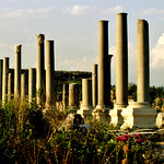 T&uuml;rkei 1989 , Perge - antike Sp&auml;thellenistisch-r&ouml;mische Ruinenstadt, S&auml;ulenallee, 79972/20972