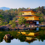 A Quiet Place to Reflect