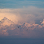 cloud mountains with birds