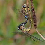 Falmouth, Cornwall UK