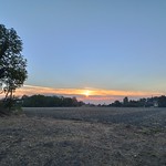 Tre albe d'agosto (ii)