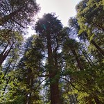 Himachal Pradesh, India