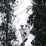 28-09-22 Angel de piedra