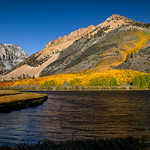 Bishop Fall Colors September 29