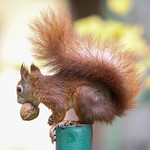 Just The Fraction Of A Second ...