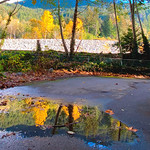 HFF! Autumn reflections after the rain