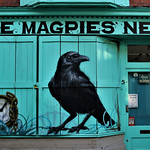 The Magpies Nest Street Art/Graffiti, Glastonbury, Somerset, England.