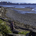 Boundary Bay beach
