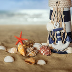 Shells on the beach