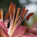 &ldquo;Taking a break can lead to breakthroughs&rdquo; - Russell Eric Dobda