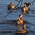 on their way 26.12.22