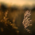 Over christmas an new year