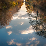 The world upside down