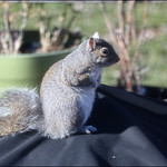 A Twinkle In My Eye... Explore 2/3/2023