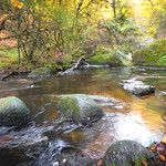 Bretagne magique. Magical Britain
