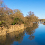 River Great Ouse, Bromham