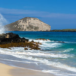 Winter Vacation - Ocean Spray