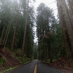Redwood Road