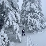 Walking Among Giants