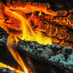 Piece of wood in fire