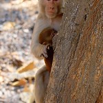 Protecting her baby...