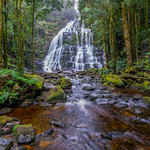 Nelson Falls, Lyell Hwy, Tasmania