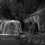 Rutter Force