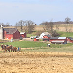 Spring in Amish Country 218