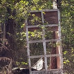 A Magic Door Into the Woods?