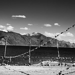 Pangong Tso Lake, Ladakh, India