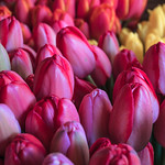 With best wishes for a fabulous weekend