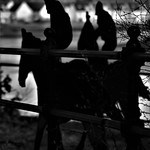 Blaydon Races Sculpture, Blaydon, Tyne & Wear, England.